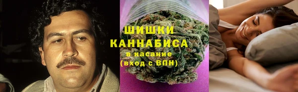 крисы Майский