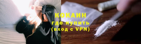 крисы Майский