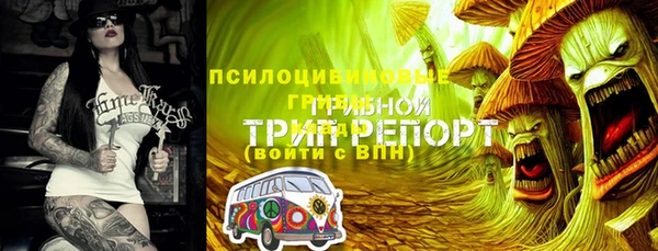 мдма Новодвинск