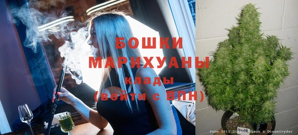 крисы Майский