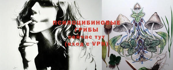 крисы Майский