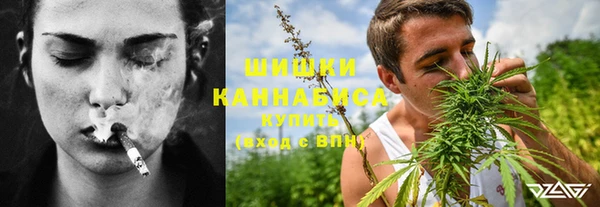 крисы Майский