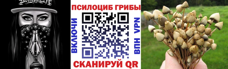 blacksprut сайт Петушки Галлюциногенные грибы Cubensis